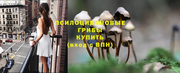 мяу мяу мука Армянск