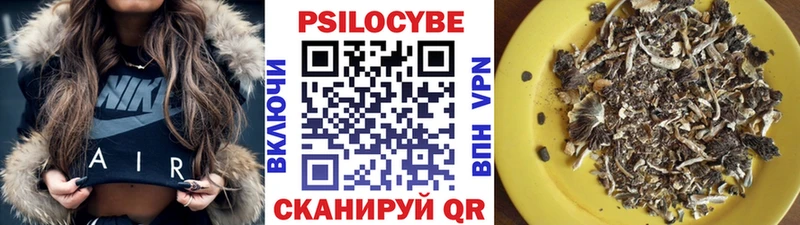 где купить наркоту  Рошаль  Галлюциногенные грибы мухоморы 